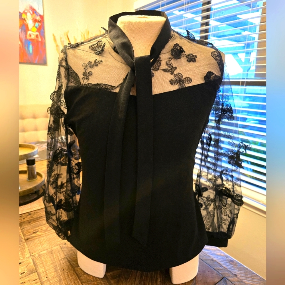Black Clasi Plus Butterfly Embroidered Mesh Yoke Sleeve Top Whimsigoth Fairygoth
